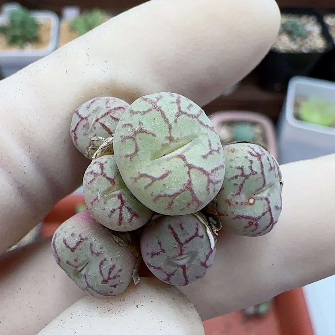 389福利福利福利