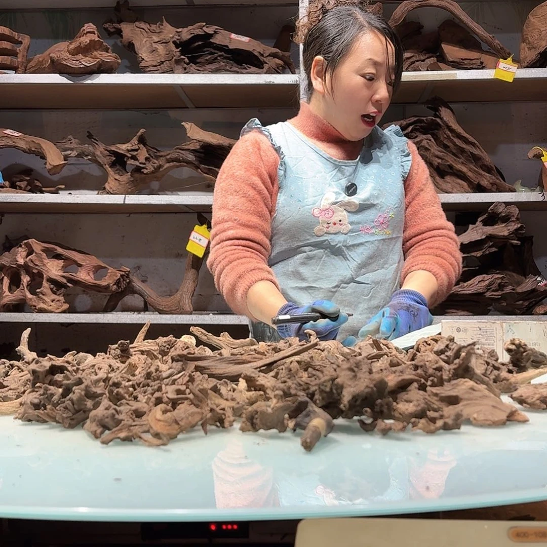 倍褚沉木不包损必褪色淇**贝5902玲珑木迷你