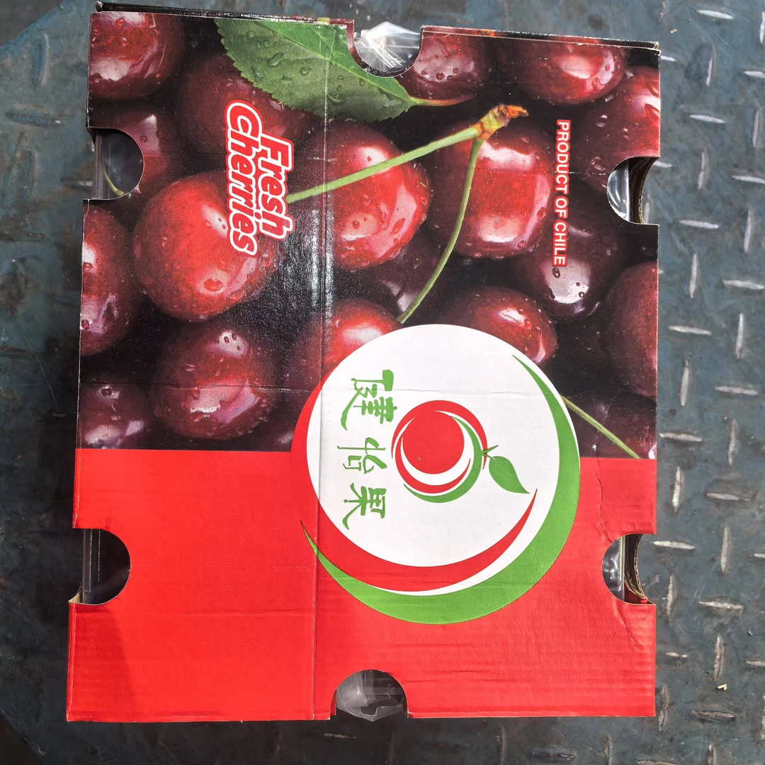 海运桑提娜车厘子健怡果3JD5斤原箱发货 内附果径卡