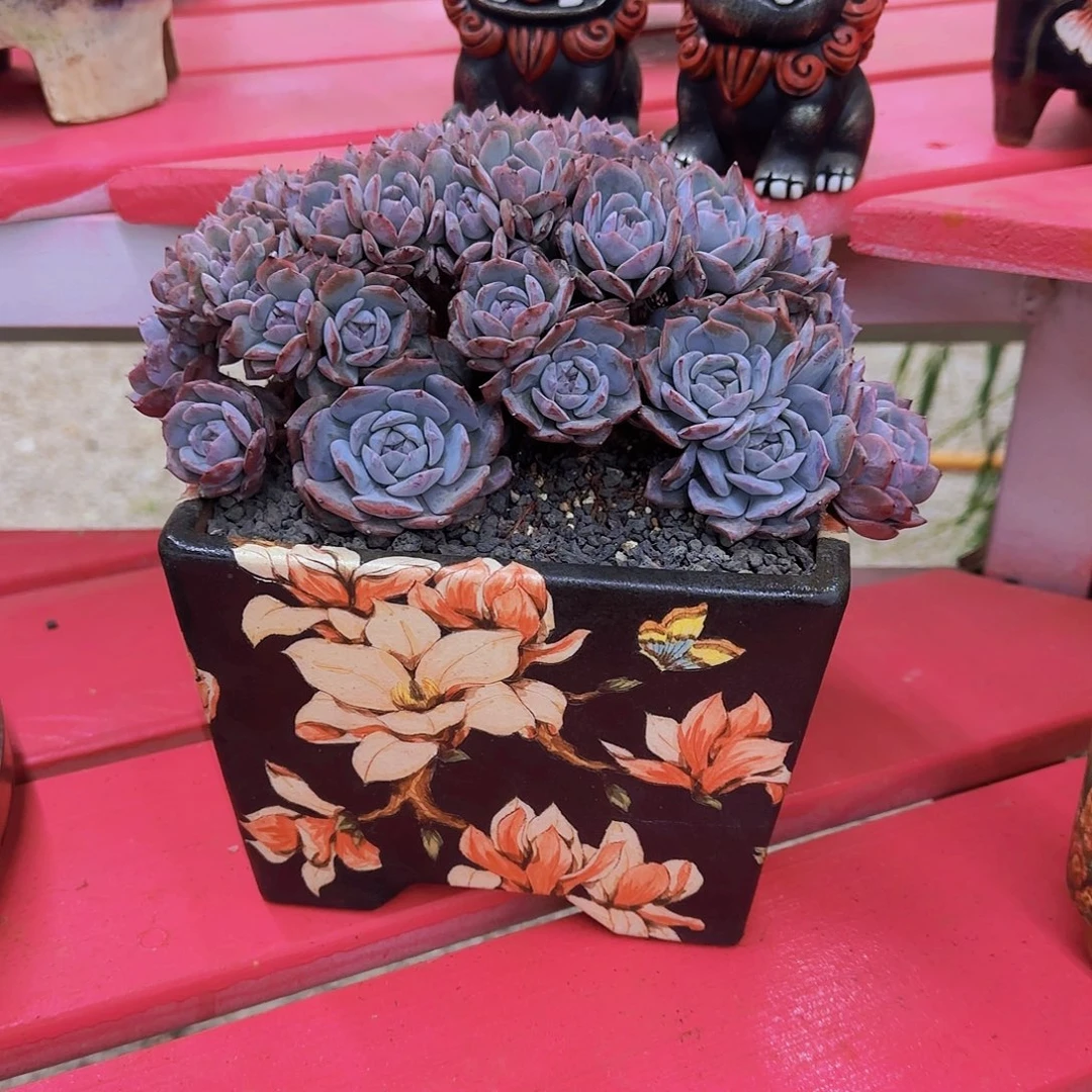 吉***㲺盆盆盆盆盆盆盆盆