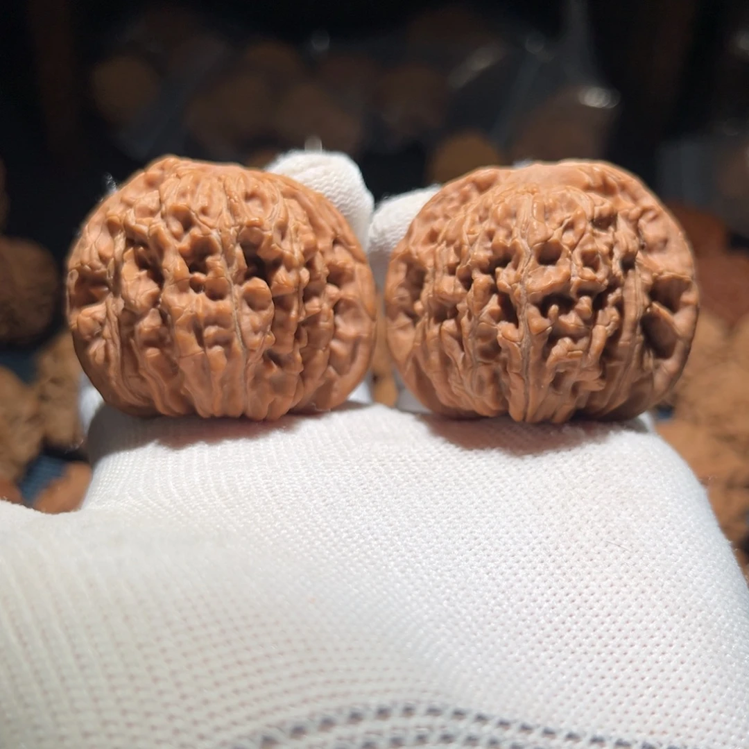 核桃46全品毕业四座楼