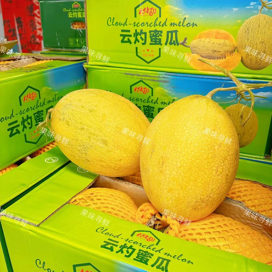 新疆云灼哈密瓜 脆蜜 离太阳最近的瓜 甜度20+松脆香甜 两颗/原箱