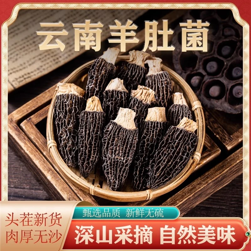 云南现收山货土特产 羊肚菌干货头茬肉厚煲汤营养健康
