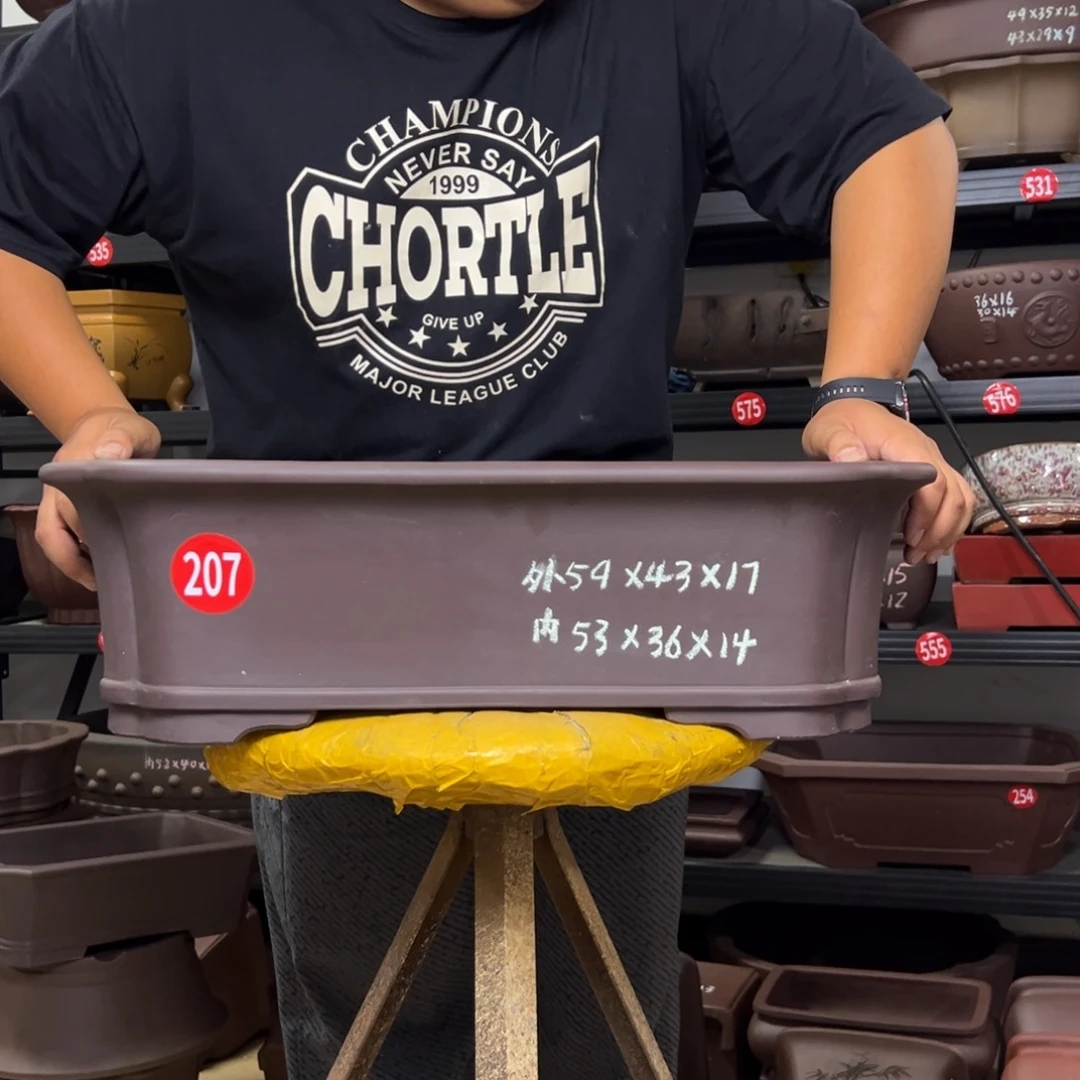 紫砂花盆呜呜呜呜呜我