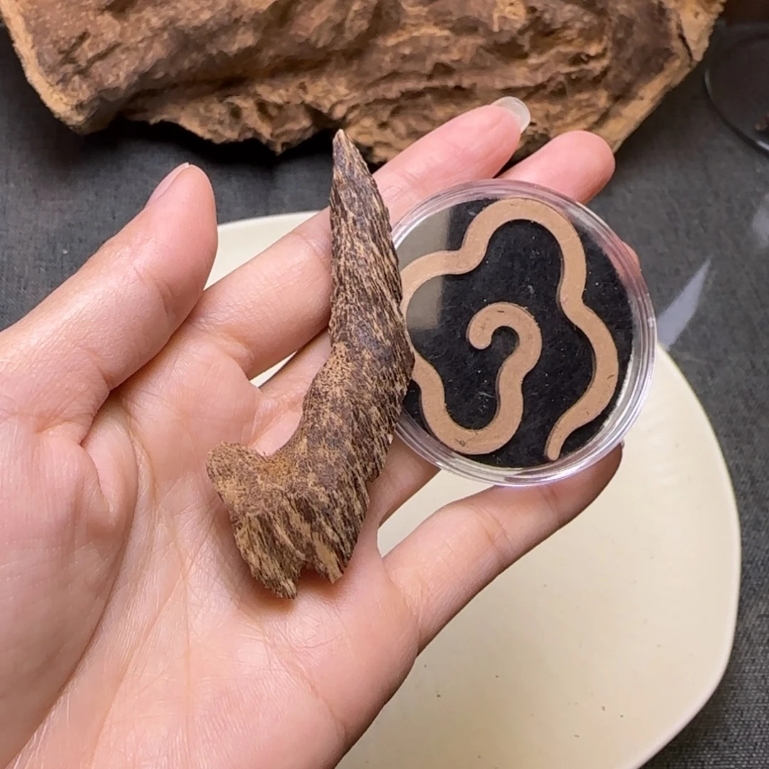 海南沉水鸡母虫漏料1.9克