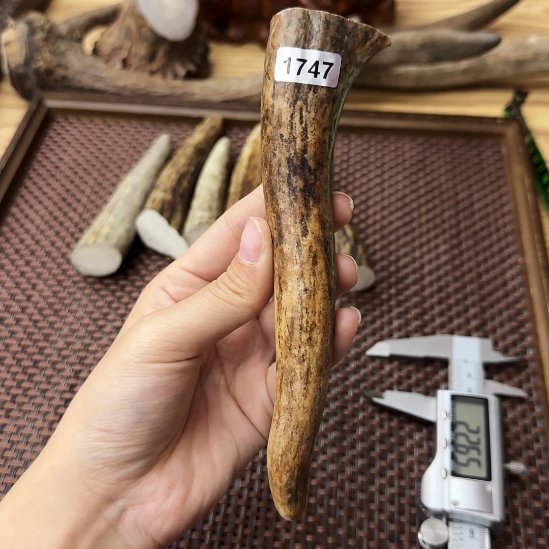 手串/手链鹿骨1747角尖