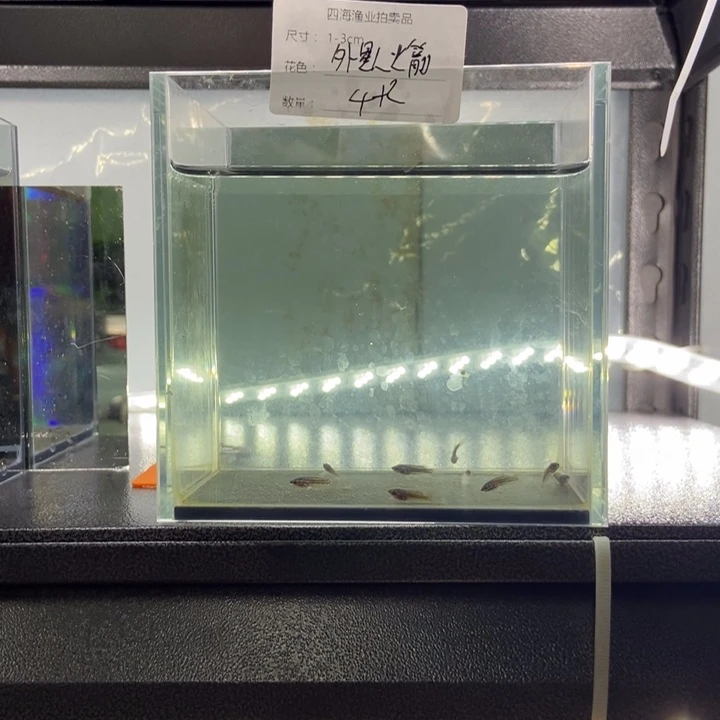 斗鱼包活不包损所见即所得149