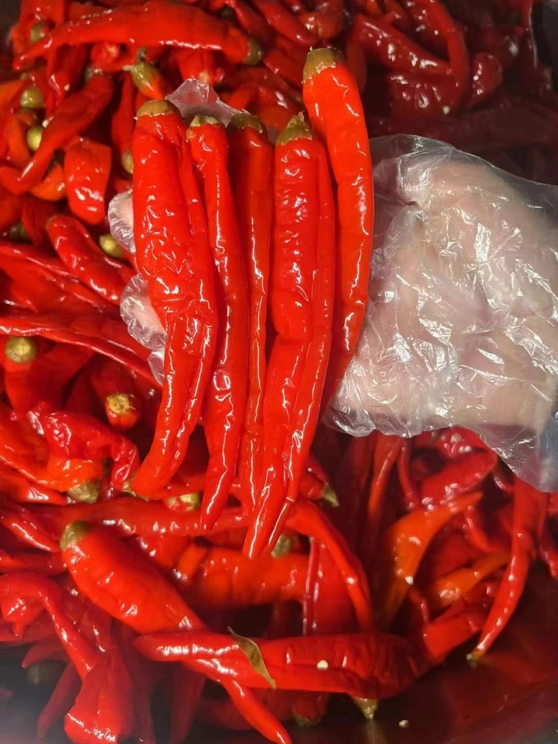 【湘  水】湖南农家酸辣椒 酸脆爽口  散装食品代卖【包邮】