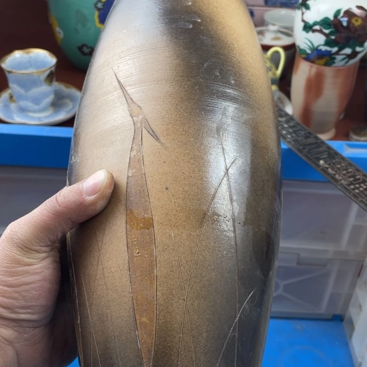 碟开播了开播了开播了