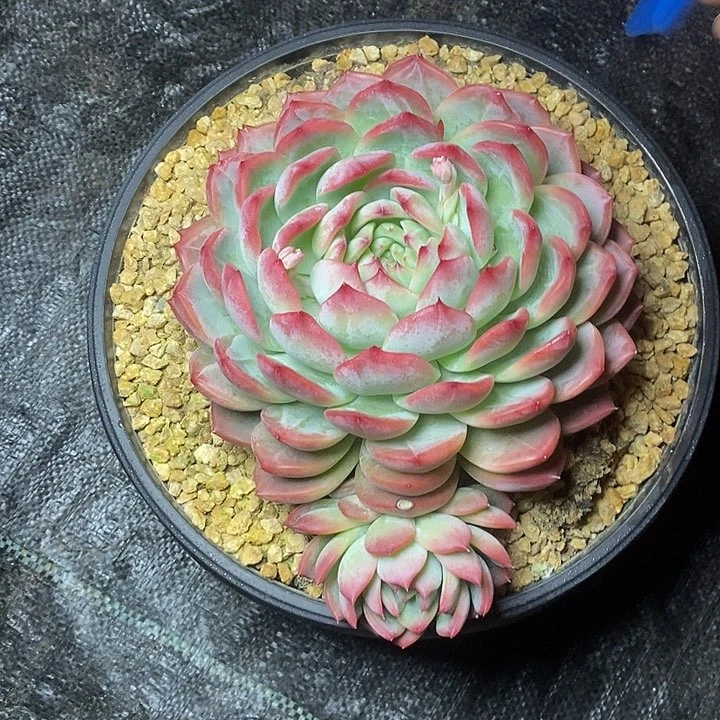 雕**光10////////////////