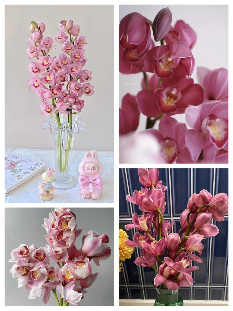 【pp大花惠兰1支】鲜花 鲜切花（包邮）