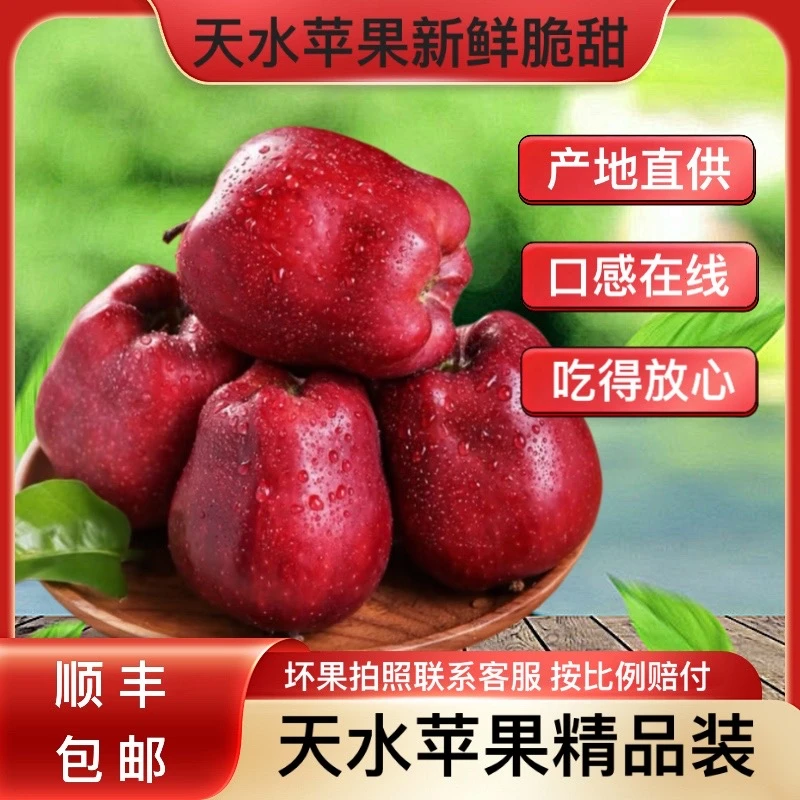 【顺丰包邮】甘肃天水花牛苹果脆粉两吃/新鲜水果/现摘
