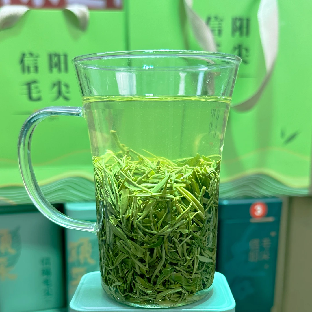 信阳毛尖新茶雨前芽叶茶叶核心产区高山茶信阳毛尖新茶2025年春茶