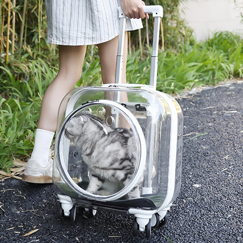 猫咪外出便携包宠物拉杆箱透明太空舱猫包狗狗行李箱宠物外出包