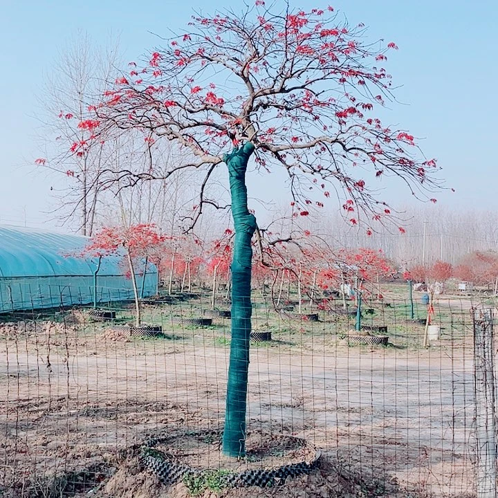 【闪购商品】完全开放