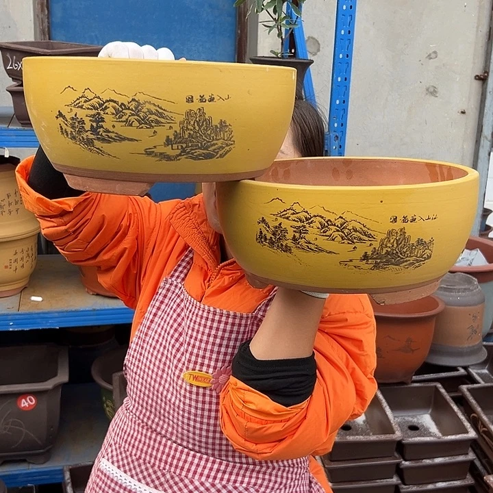 黄色江山如画中一对花盆花盆