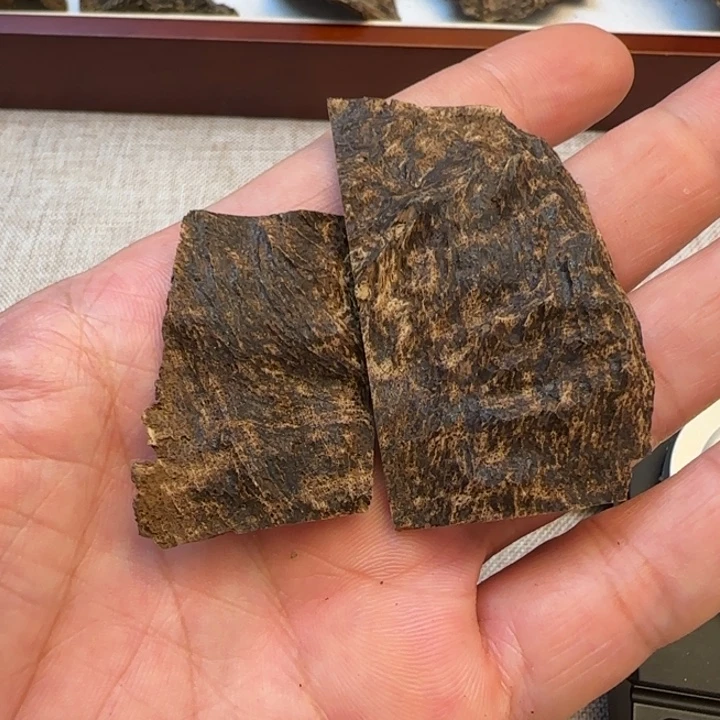 摆件沉香海南老铁顶5.5克