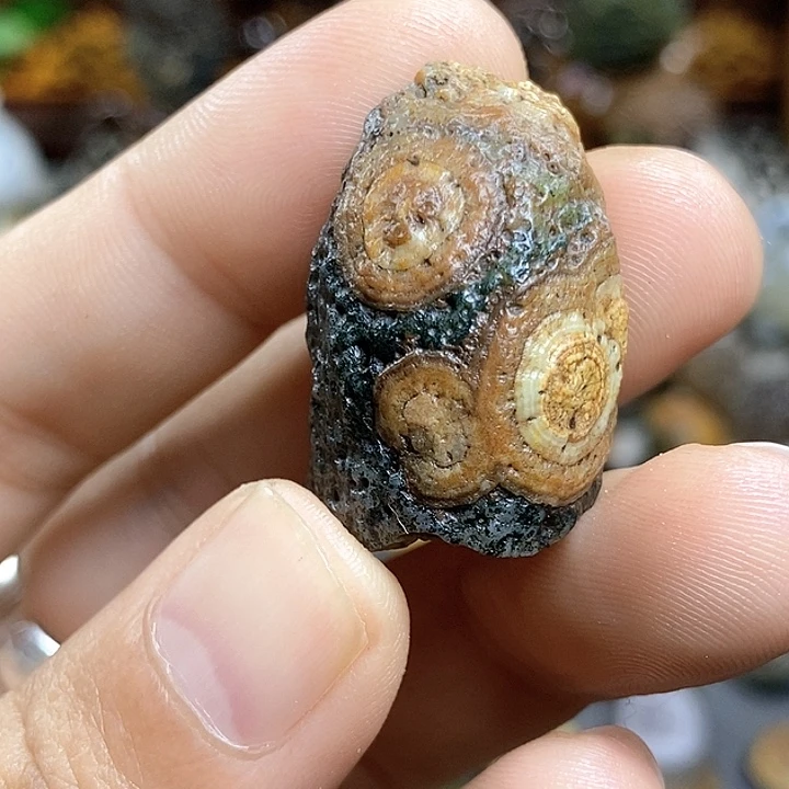 石头天然原石小品石