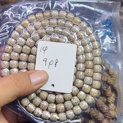 吊坠星月菩提14号