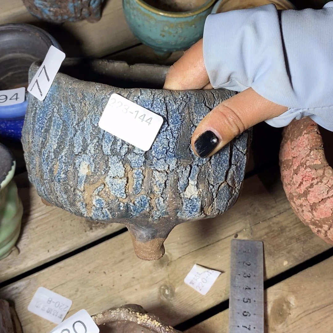 红陶橙**贝144号多肉花盆一个