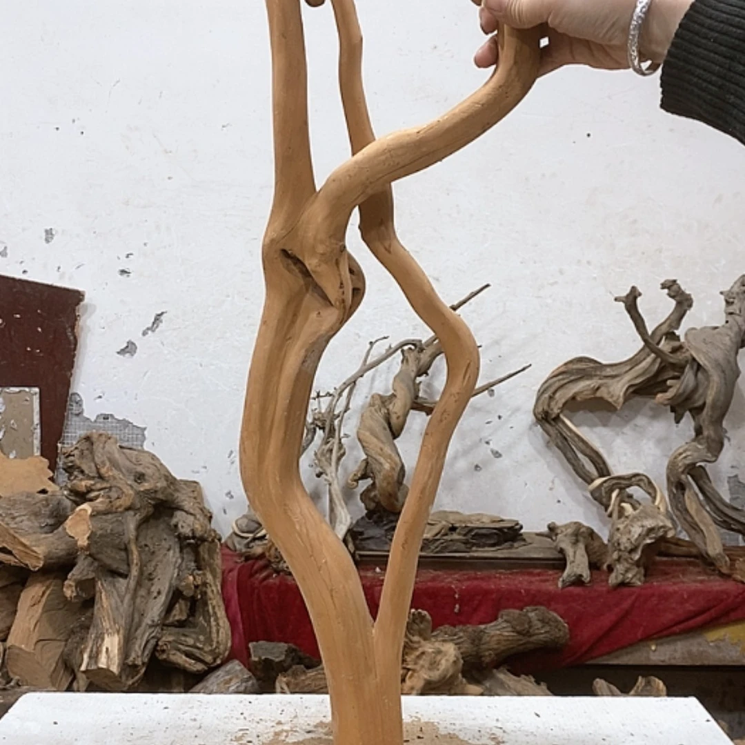 【闪购商品】柏木大****长我们都是好孩子