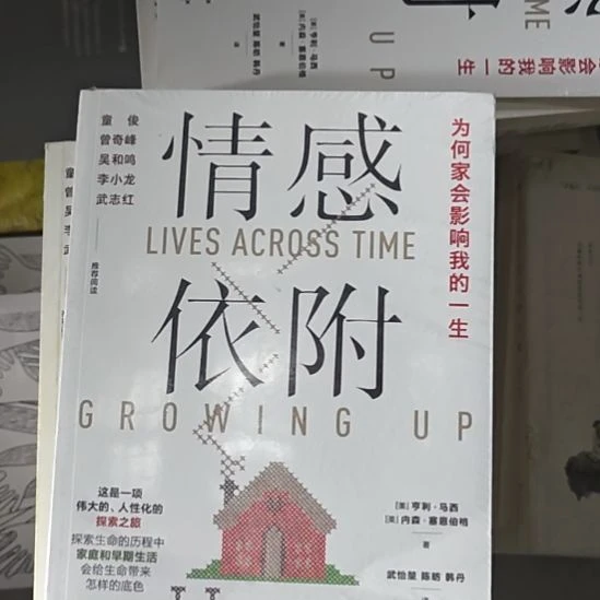 情感依附，为何家会影响我的一生？