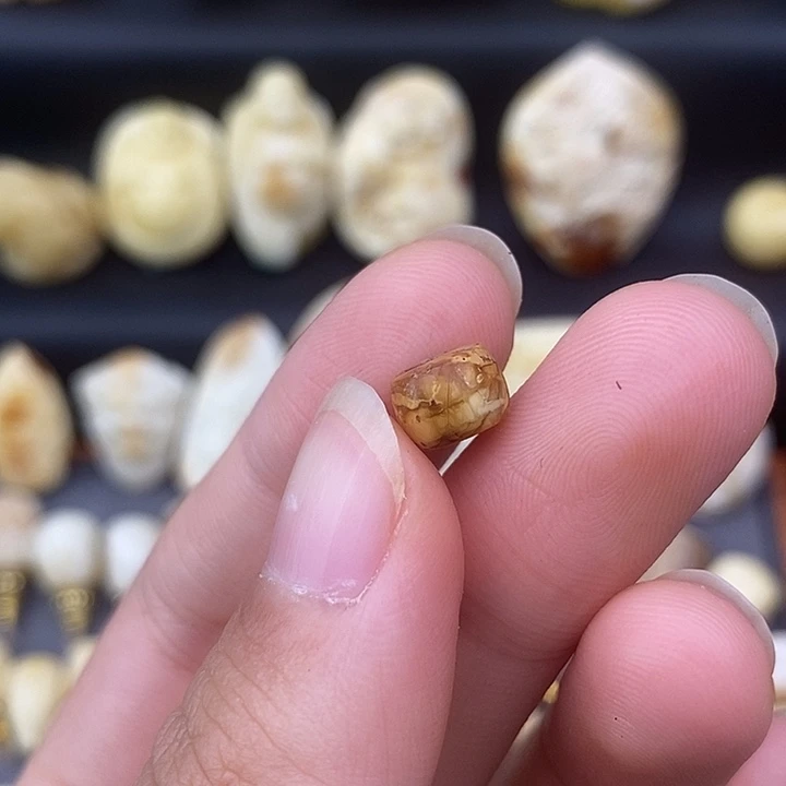 琥珀未镶嵌裸石8×6隔片a4