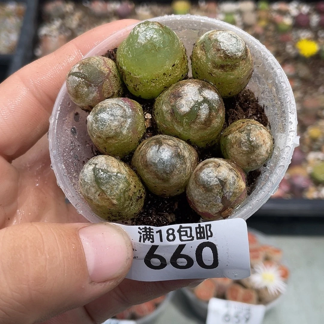 当天凑满十八元包邮660