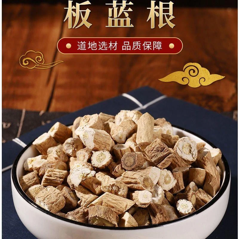 中药材正品野生板蓝根包邮板兰根板蓝根茶板蓝根块