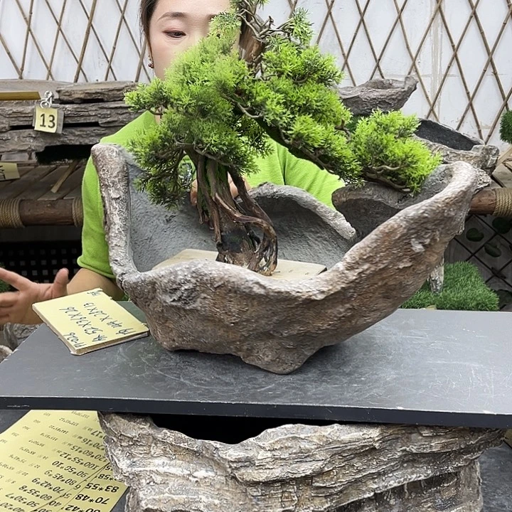 花盆盆景异性盆花盆p1-026