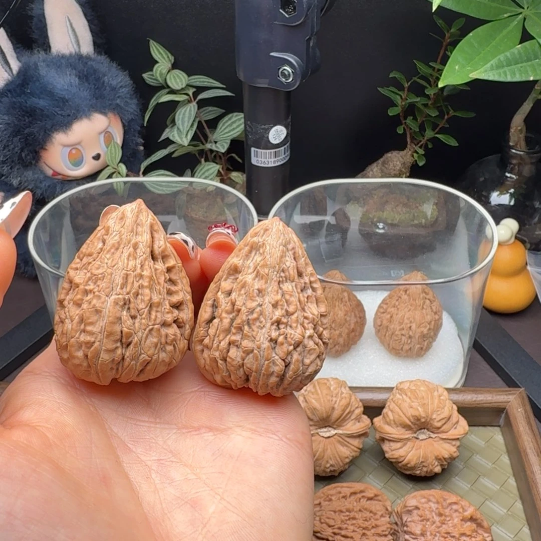 核桃全品原树坐佛34