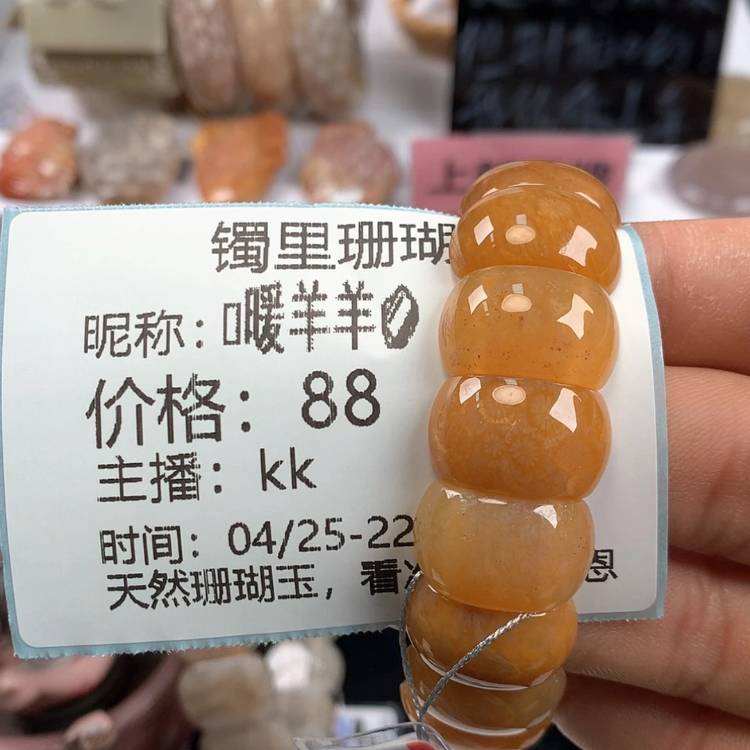 【闪购商品】硅化珊瑚（珊瑚玉）未镶嵌颈饰?***?