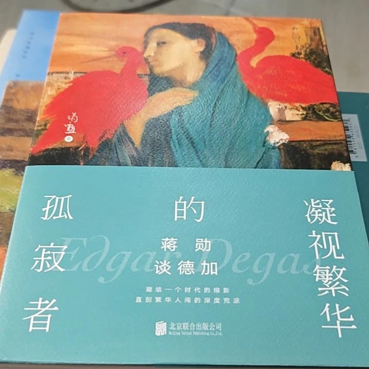 凝视繁华的孤寂寞者精装库存书