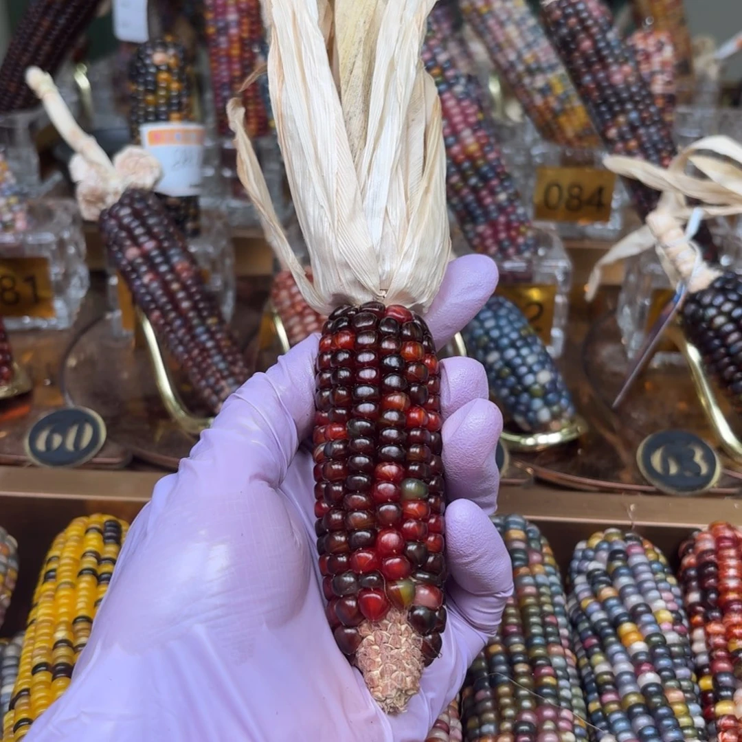 柏香籽/百香籽吊坠Ð****