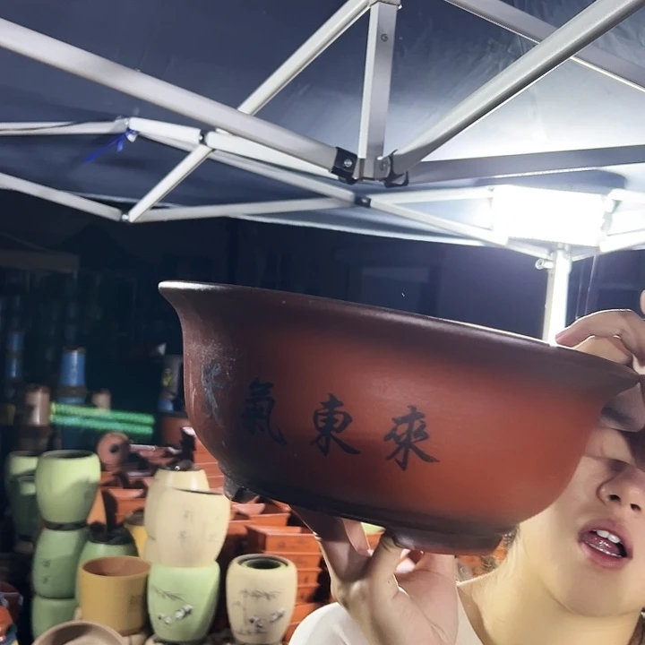 小红花盆花盆花盆花盆×2
