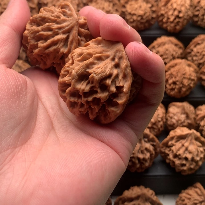 其他核桃我**賊秦岭官帽