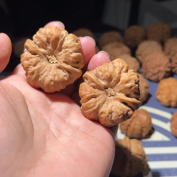 文玩核桃吊坠蛤蟆