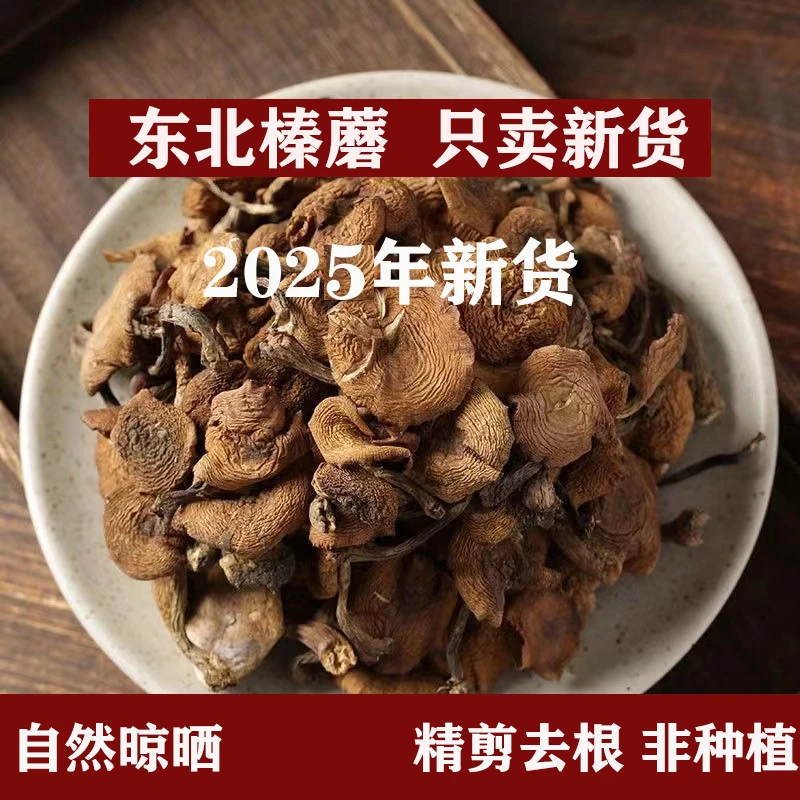 东北榛蘑当年新货小鸡炖蘑菇特产无根营养鲜香干货自然晒榛蘑丁鲜