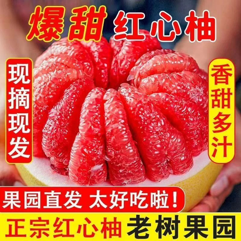 福建平和红心蜜柚老树果新鲜采摘皮薄肉厚多汁应季水果【2个】