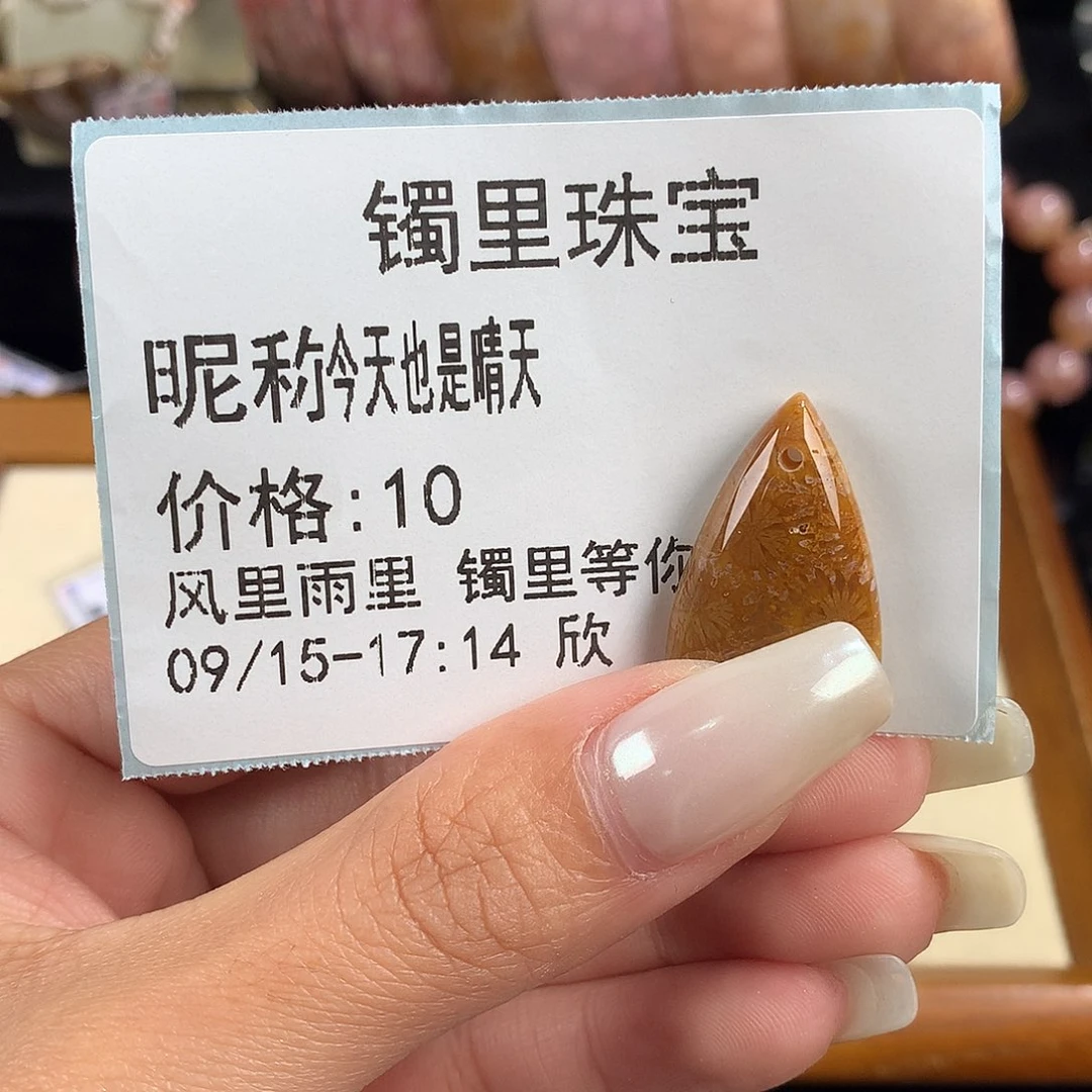 今***天吊坠(赠链)未镶嵌硅化珊瑚（珊瑚玉）