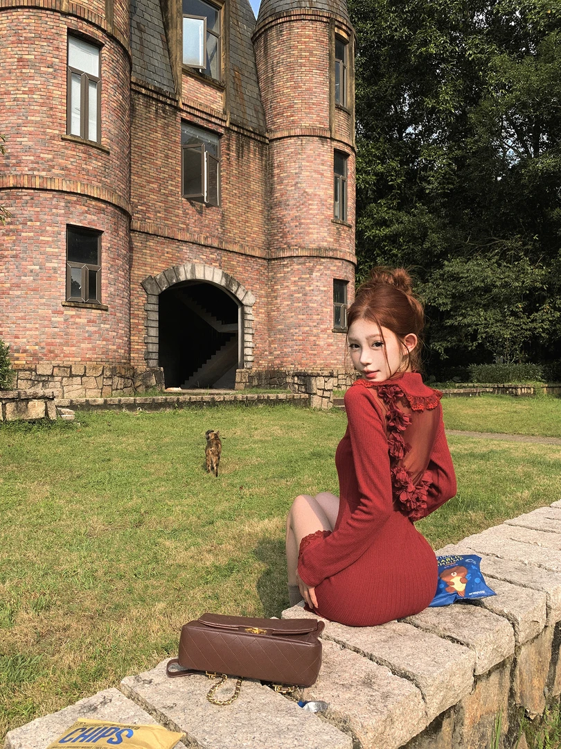 采撷草莓 设计感气质蕾丝花边针织连衣裙女2025秋季新款显瘦短裙