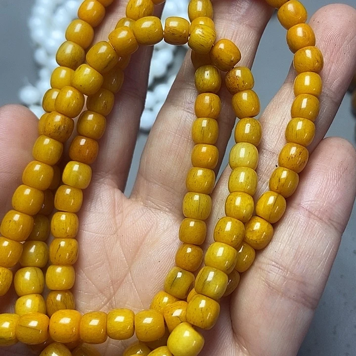 大果紫檀（缅甸花梨）