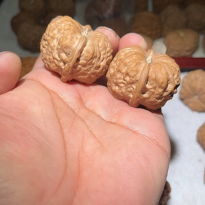 木40全品拱桥南瓜敦。
