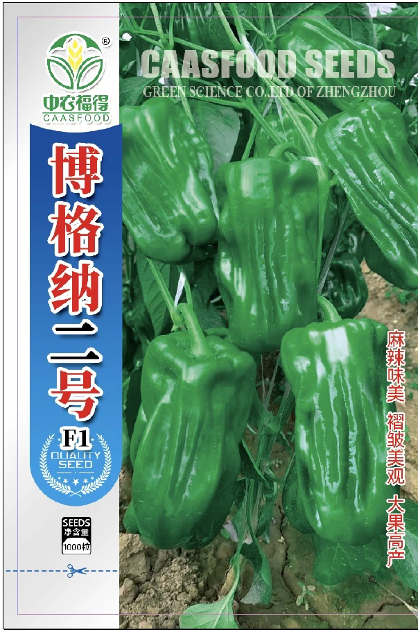 中农福得博格纳二号辣椒种子大果麻辣型种籽微辣灯笼椒春秋高产
