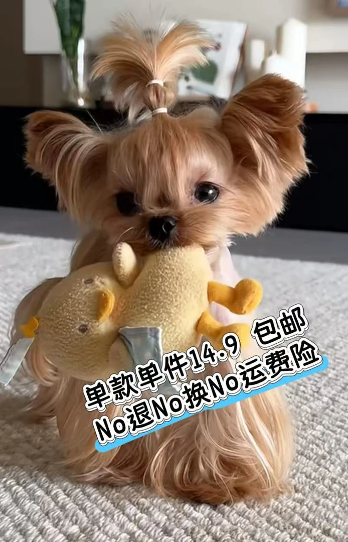 宠物玩具任选单件包邮  No退No换No运费险