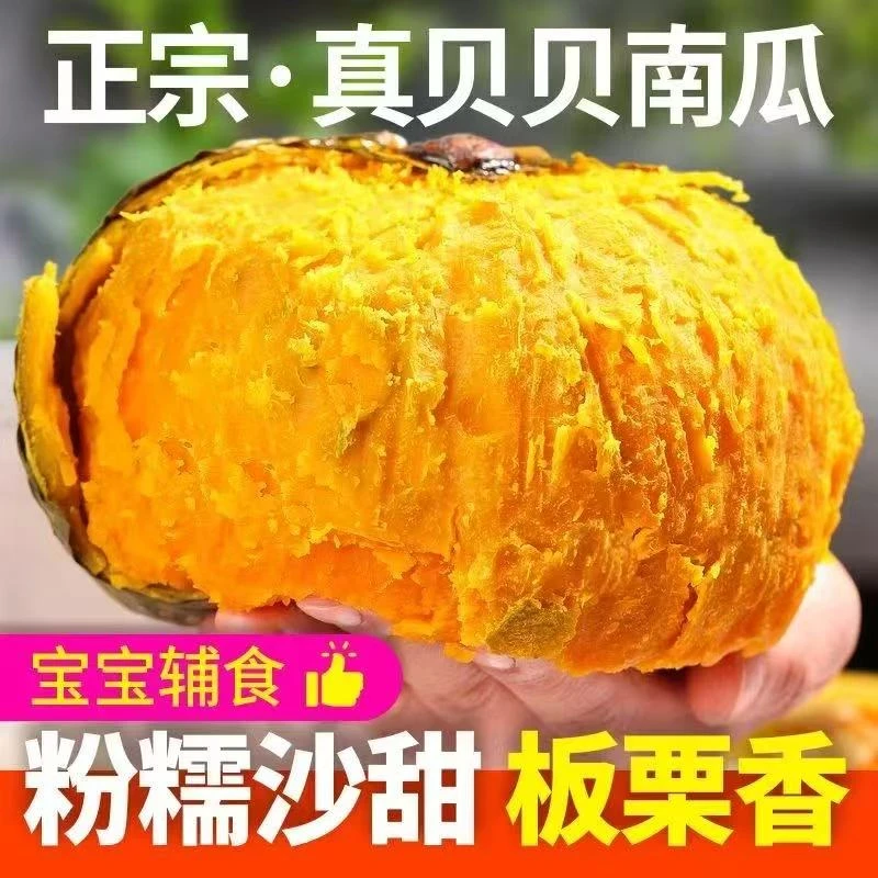 【真贝贝南瓜】粉糯香甜板栗味贝贝南瓜婴儿辅食优质农产品2斤