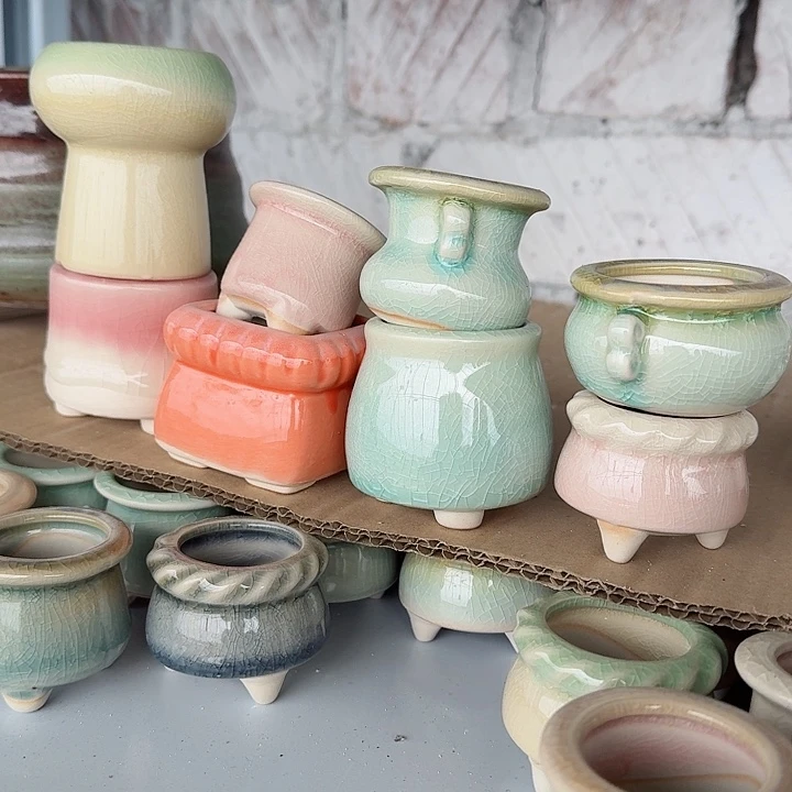 八个拇指盆多肉植物