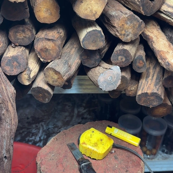 伟***年木降真香开料直播间