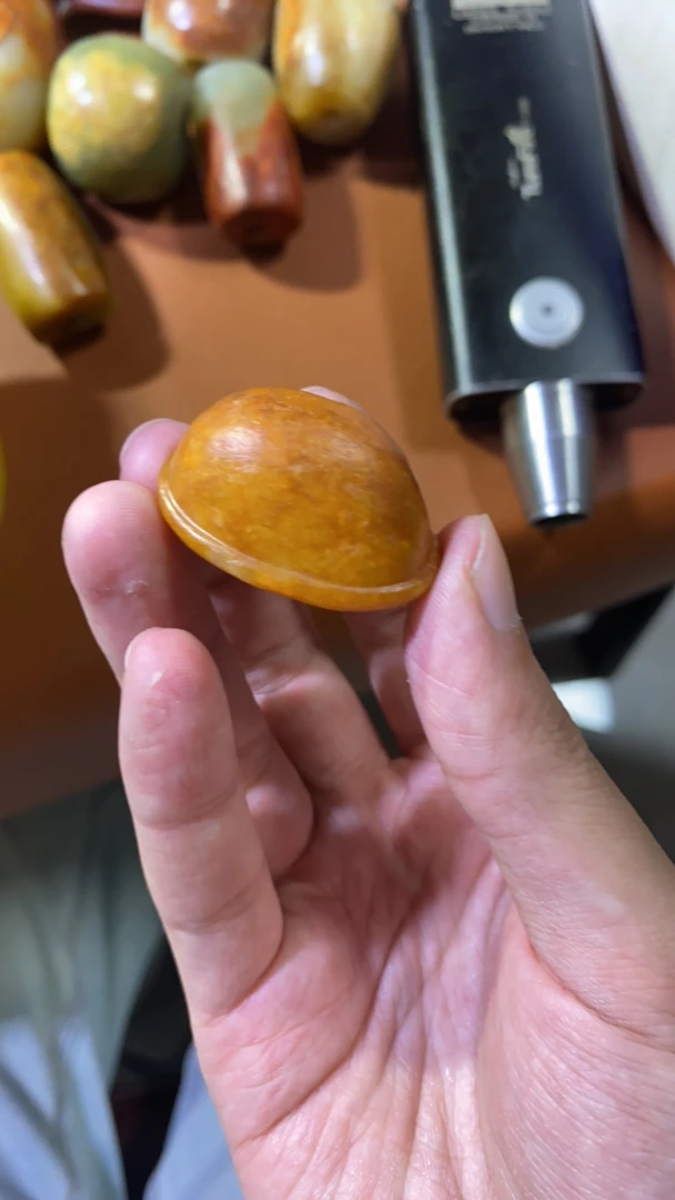 高品质黄白富甲龟