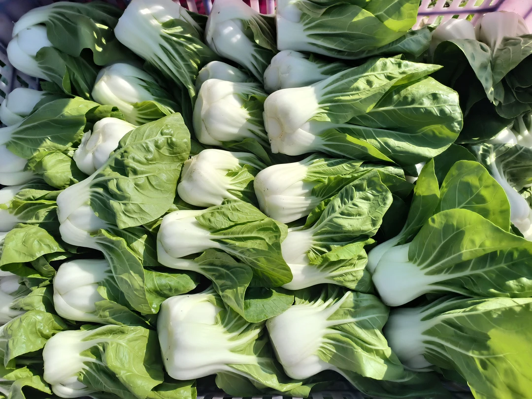 安徽安庆家人自种矮脚黄露天蔬菜新鲜现摘现发